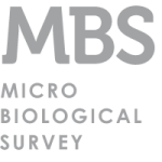 MBS