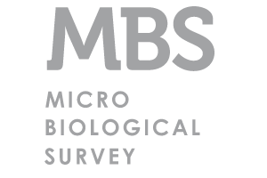 MBS