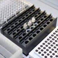 Conical Microfuge Tube Holder