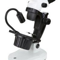 NexiusZoom (EVO) Stereo Microscopes – Precision Gemology Microscopy