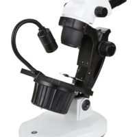 NexiusZoom & NexiusZoom EVO Stereo Microscopes – Precision Gemology Microscopes