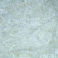 NWF+ Polishing Cloths (Synthetic Fibers, Hard Materials, Adhesive & Reflex PAD-MAG)