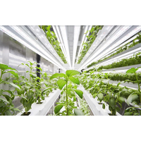 Walk-in Plant Growth Chambers