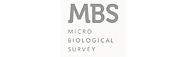 MBS (1)