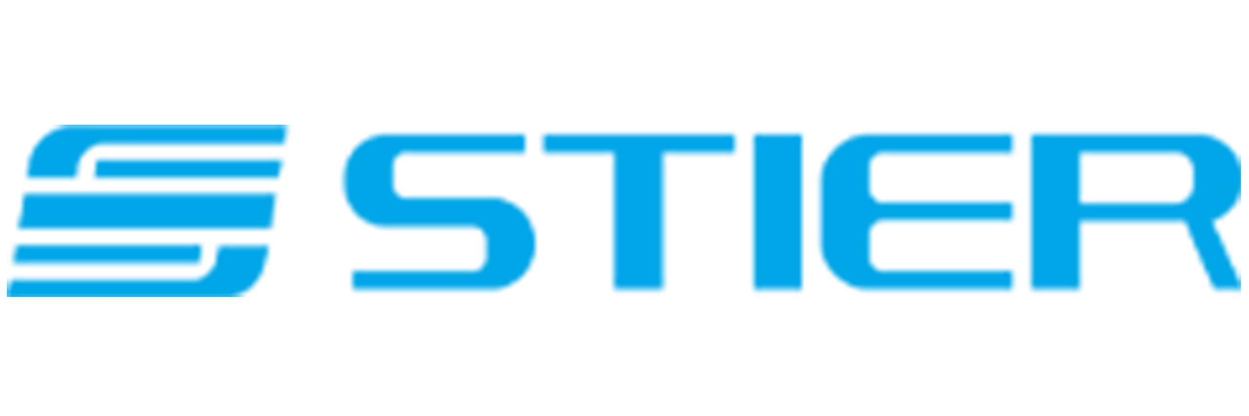 Stier 300x100